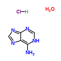 Adenine Hydrochloride Hemihydrate CAS:6055-72-7 manufacturer price 第1张