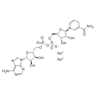 β-Nicotinamide Adenine Dinucleotide Disodium Salt NADH Cas:606-68-8 第1张