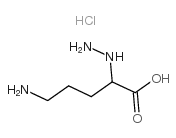 5-amino-2-hydrazinopentanoic acid hydrochloride