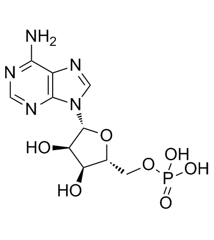 Adenosine 5'-monophosphate (AMP) Cas:61-19-8 第1张