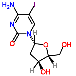 5-Iodo-2'-deoxycytidine CAS:611-53-0 manufacturer price 第1张