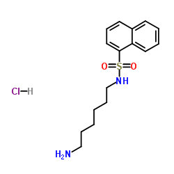 w-5 hydrochloride