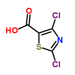 2,4-ジクロロチアゾール-5-カルボン酸