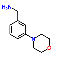 (3-morpholinophenyl)methylamine