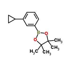 2-(3-CYCLOPROPYLPHENYL)-4,4,5,5-TETRAMETHYL-[1,3,2]DIOXABOROLANE