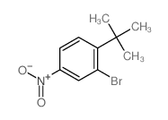 2-bromo-1-(tert-butyl)-4-nitrobenzene