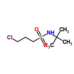 N-(tert-butyl)-3-chloropropane-1-sulfonamide