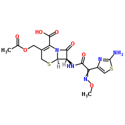 Cefotaxime Acid Cas:63527-52-6 第1张