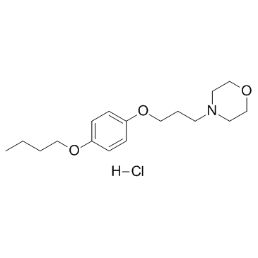 Pramoxine Hydrochloride