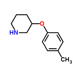 3-(4-Methylphenoxy)piperidine