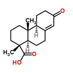 13-Oxopodocarp-8(14)-en-15-oic acid CAS:63976-69-2 第1张