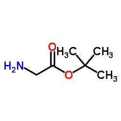 tert-butyl glycinate CAS:6456-74-2 manufacturer price 第1张