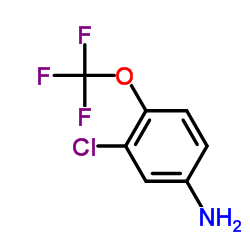 2-Chloro-4-aminotrifluoromethoxybenzene Cas:64628-73-5 第1张