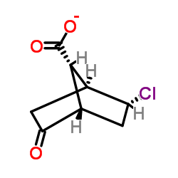 exo-2 -Chloro-5-oxo-bicyclo[2.2.1]heptane-syn-7-carboxylic acid