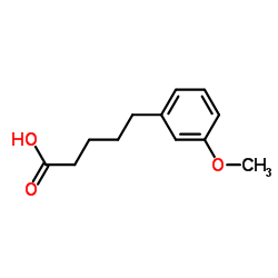 5-(3-Methoxyphenyl)pentanoic acid