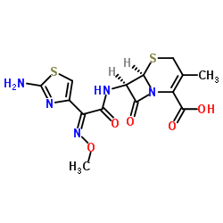 Cefetamet hydrochloride