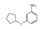 3-cyclopentyloxyaniline CAS:653604-38-7 第1张