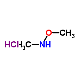 N,O-Dimethylhydroxylamine Hydrochloride Cas:6638-79-5 第1张