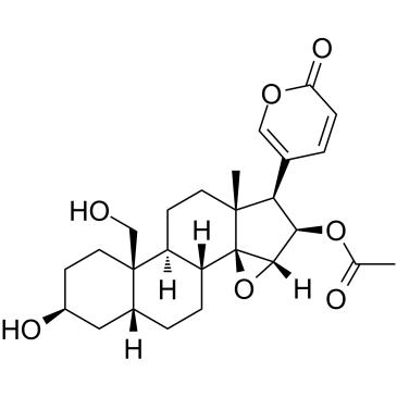 Cinobufaginol