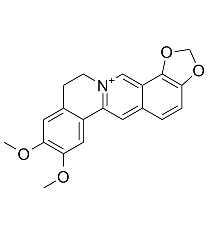 Epiberberine