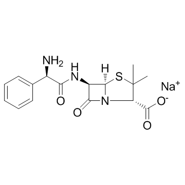 Ampicillin Sodium Cas:69-52-3 第1张