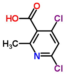 4,6-Dichloro-2-methylnicotinic Acid CAS:693286-31-6 第1张