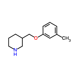 3-[(3-Methylphenoxy)methyl]piperidine