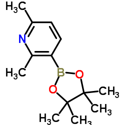 2,6-Dimethyl-3-(4,4,5,5-tetramethyl-1,3,2-dioxaborolan-2-yl)pyridine