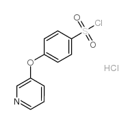 4-(Pyridin-3-yloxy)benzene-1-sulfonyl chloride hydrochloride CAS:694471-97-1 第1张