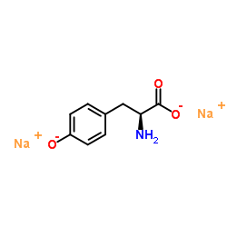 l-tyrosine disodium salt CAS:69847-45-6 manufacturer price 第1张