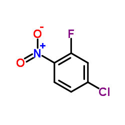 2-Fluoro-4-chloronitrobenzene CAS:700-37-8 manufacturer price 第1张