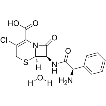 Cefaclor Monohydrate CAS:70356-03-5 manufacturer price 第1张