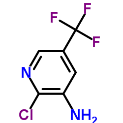 2-Chloro-5-(trifluoromethyl)-3-pyridinamine CAS:72587-18-9 第1张