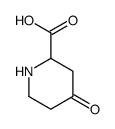 4-oxopiperidine-2-carboxylic acid