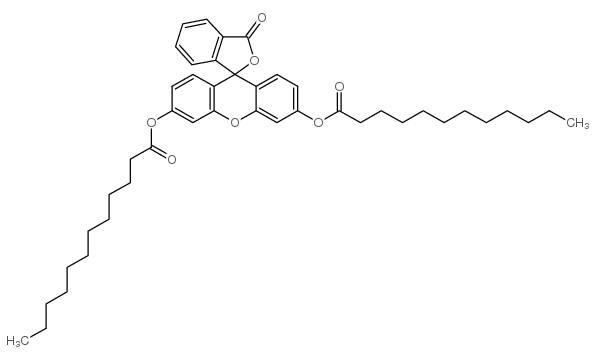 (6'-dodecanoyloxy-3-oxospiro[2-benzofuran-1,9'-xanthene]-3'-yl) dodecanoate