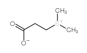 Dimethylsulfoniopropionate CAS:7314-30-9 第1张