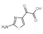 2-(2-Aminothiazol-4-yl)glyoxylic acid CAS:73150-67-1 第1张