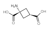 cis-ACBD,cis-1-Aminocyclobutane-1,3-dicarboxylicacid