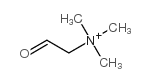 betaine aldehyde