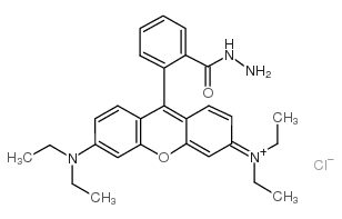 2-amino-3',6'-bis(diethylamino)spiro[isoindole-3,9'-xanthene]-1-one