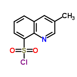 3-methyl quinoline-8-sulfonyl chloride CAS:74863-82-4 manufacturer price 第1张