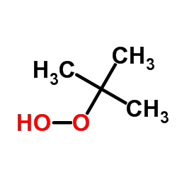 tert-Butyl Hydroperoxide CAS:75-91-2 第1张