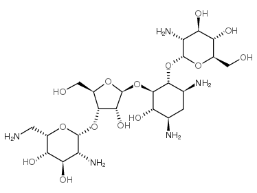 paromomycin