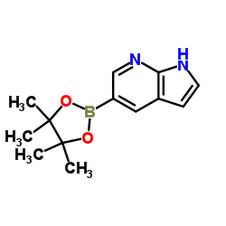 7-Azaindole-5-boronic acid pinacol ester