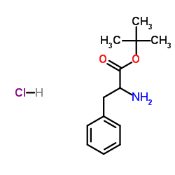 H-DL-Phe-OtBu.HCl