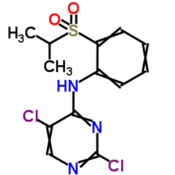 4-Pyrimidinamine, 2,5-dichloro-N-[2-[(1-methylethyl)sulfonyl]phenyl]- CAS:761440-16-8 manufacturer price 第1张