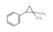 (2,2-dimethylcyclopropyl)benzene