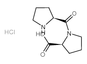 H-Pro-Pro-OH · HCl