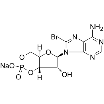 8-Bromoadenosine 3’,5’-cyclic Monophosphate Sodium Salt CAS:76939-46-3 manufacturer price 第1张