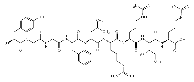 Dynorphin A (1-9)